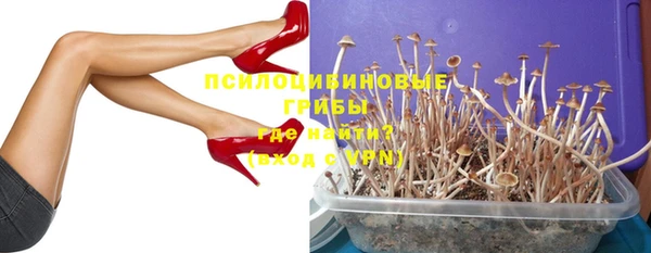 ALPHA-PVP Елизово