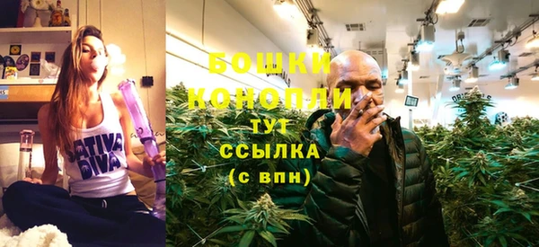 Альфа ПВП Ельня