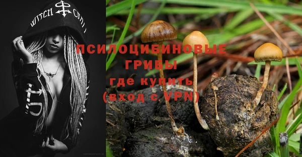 ALPHA-PVP Елизово
