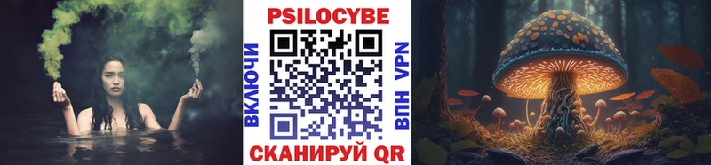 Купить закладки Волгодонск Галлюциногенные грибы Psilocybine cubensis